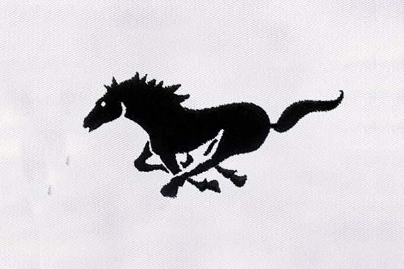 Black Horse Design: A Pro Embroidery Designer’s Review